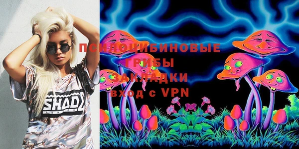 Альфа ПВП Няндома