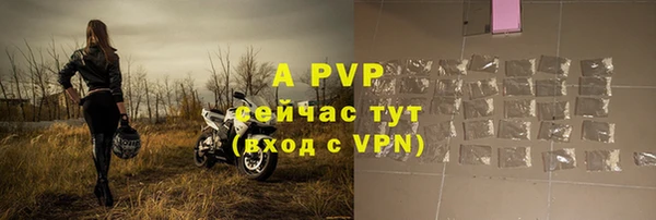Альфа ПВП Няндома