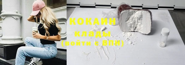 ПСИЛОЦИБИНОВЫЕ ГРИБЫ Новозыбков
