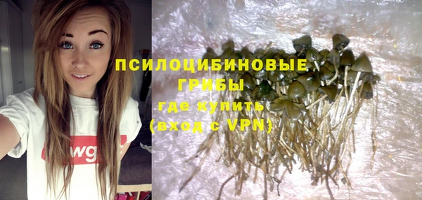 Альфа ПВП Няндома