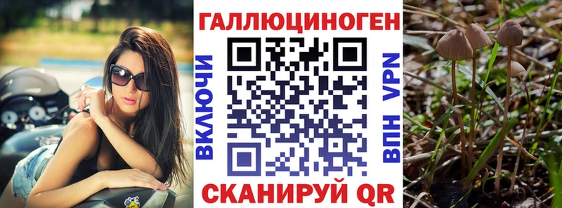 Галлюциногенные грибы ЛСД  ссылка на мегу онион  Павлово 