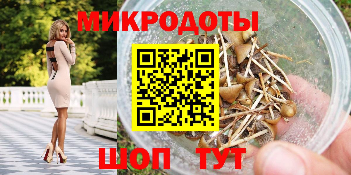 Псилоцибиновые грибы Psilocybine cubensis  Павлово 