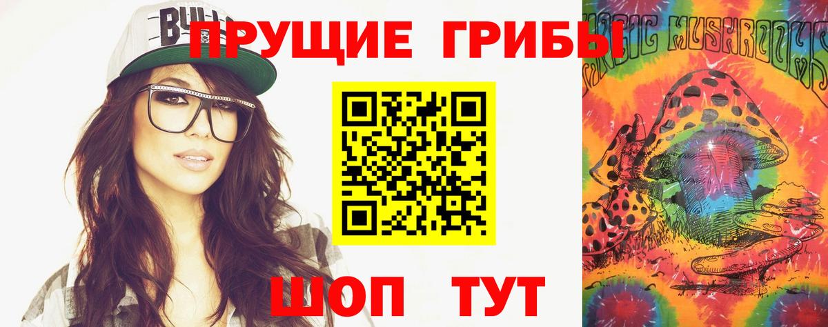 Псилоцибиновые грибы Cubensis Павлово