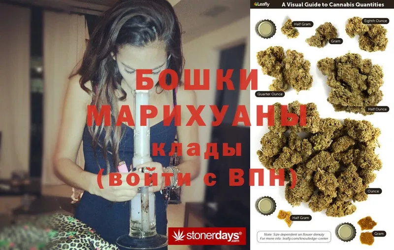 Конопля Ganja  Павлово 