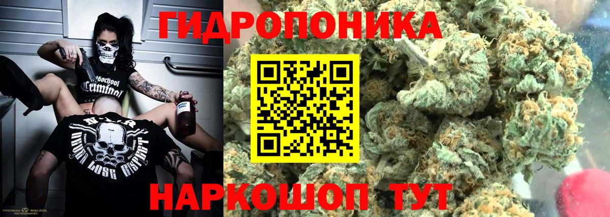 МАРИХУАНА конопля Павлово